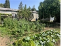 Photo numero 47884280 du bien UBI475077464